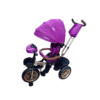 Triciclo Guiador Vortex